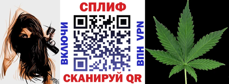 где можно купить наркотик  Котельнич  Каннабис AK-47 